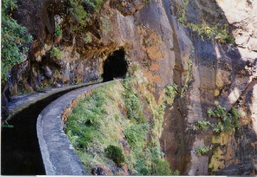 Levada_Rabacas